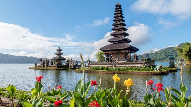 Bali family office