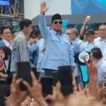 PPN 12%