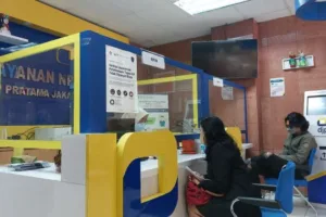 pengawasan wajib pajak grup