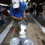 UMKM Pajak