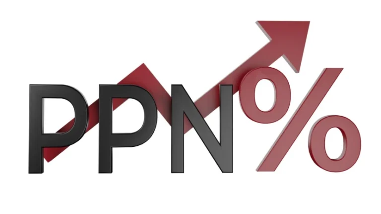 PPN 12%