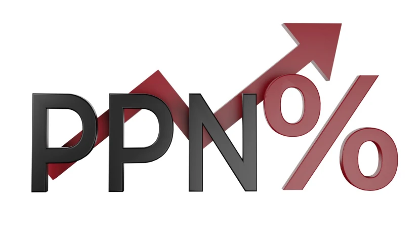 PPN 12%