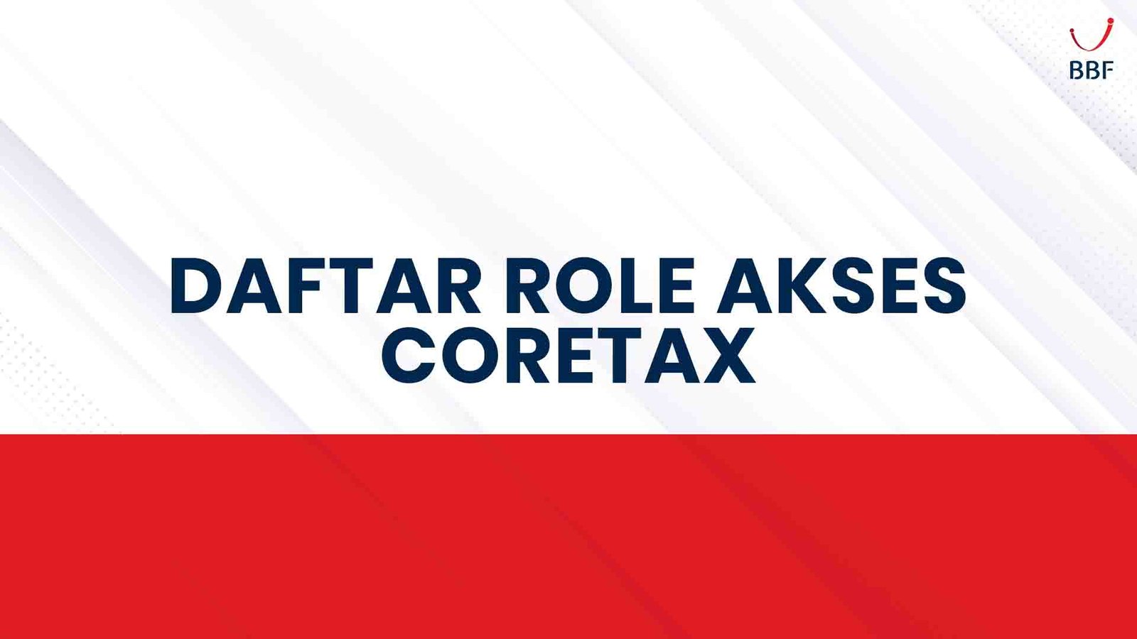 role akses coretax