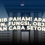 Apa Itu PPN