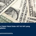Bayar Pajak Pakai Dolar AS? Ini WP yang Diwajibkan